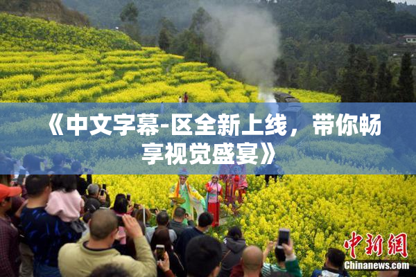 《中文字幕-区全新上线，带你畅享视觉盛宴》