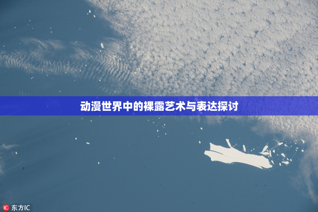 动漫世界中的裸露艺术与表达探讨
