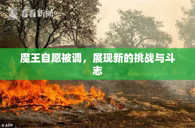 魔王自愿被调，展现新的挑战与斗志
