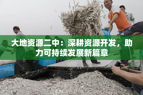 大地资源二中：深耕资源开发，助力可持续发展新篇章