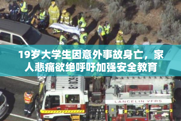 19岁大学生因意外事故身亡，家人悲痛欲绝呼吁加强安全教育