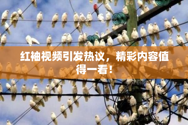 红袖视频引发热议，精彩内容值得一看！