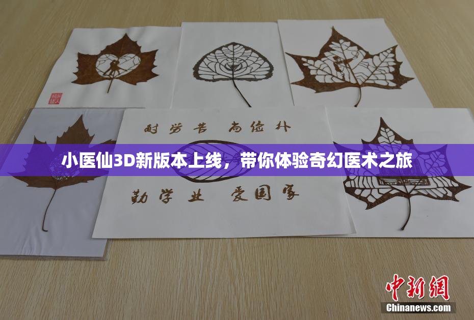 小医仙3D新版本上线，带你体验奇幻医术之旅