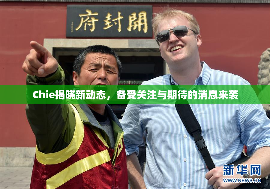 Chie揭晓新动态，备受关注与期待的消息来袭