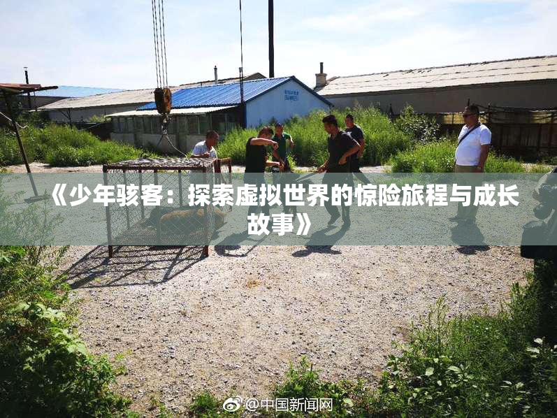 《少年骇客：探索虚拟世界的惊险旅程与成长故事》