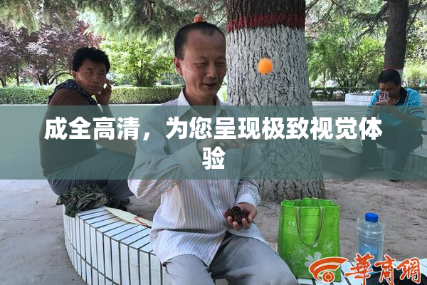 成全高清，为您呈现极致视觉体验