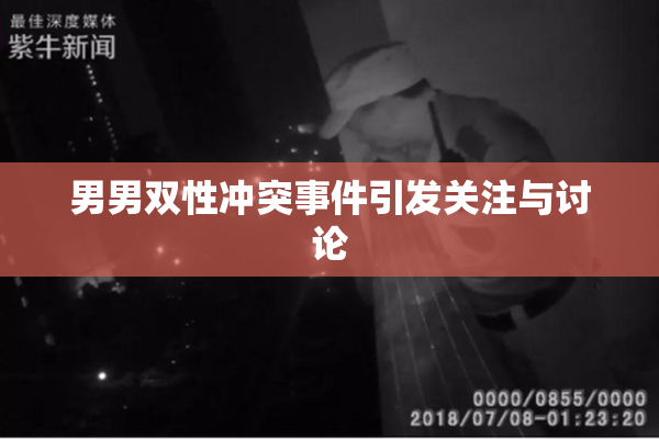 男男双性冲突事件引发关注与讨论