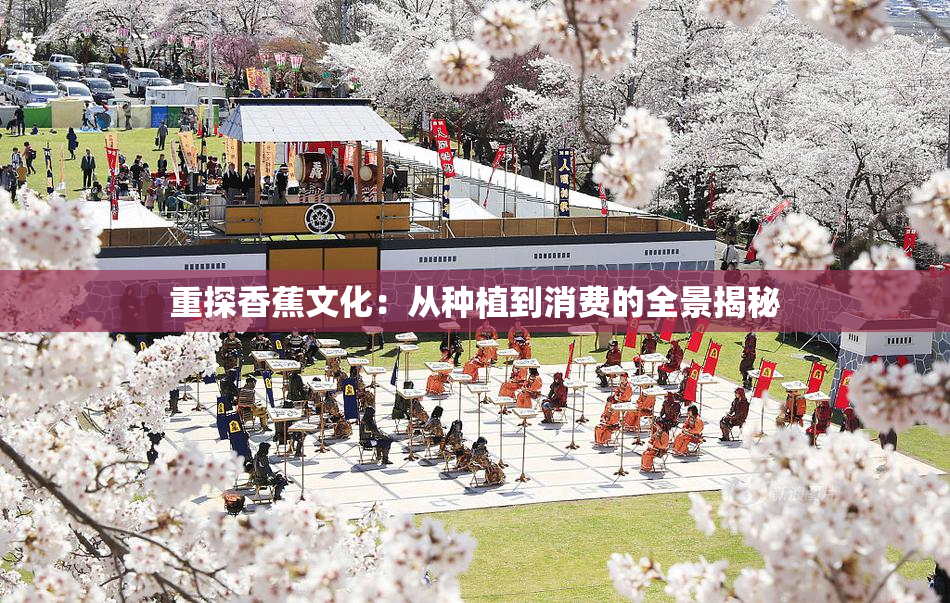重探香蕉文化：从种植到消费的全景揭秘