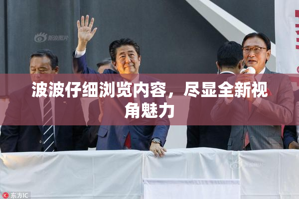 波波仔细浏览内容，尽显全新视角魅力