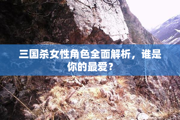 三国杀女性角色全面解析，谁是你的最爱？
