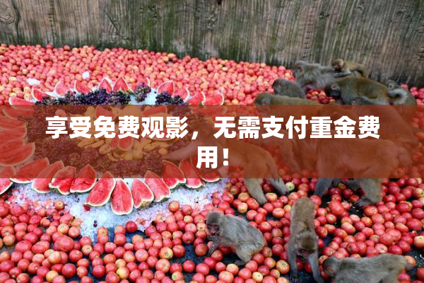 享受免费观影，无需支付重金费用！