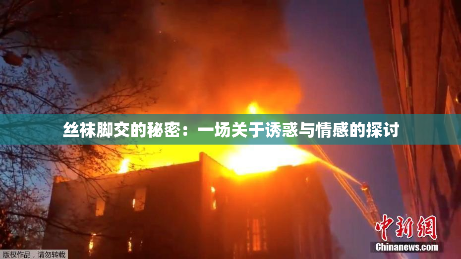 丝袜脚交的秘密：一场关于诱惑与情感的探讨