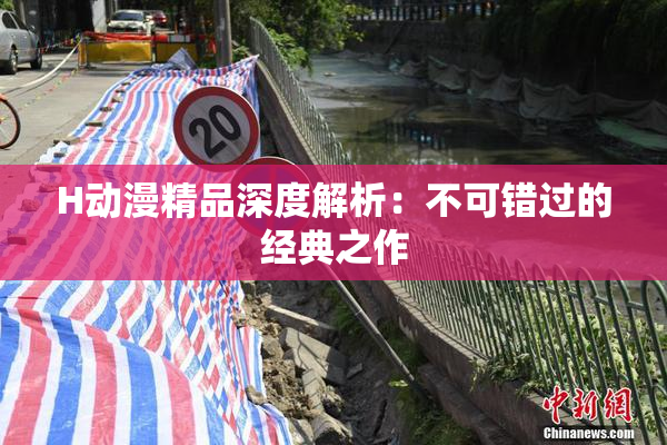 H动漫精品深度解析：不可错过的经典之作