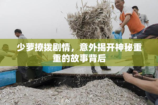 少萝撩拨剧情，意外揭开神秘重重的故事背后