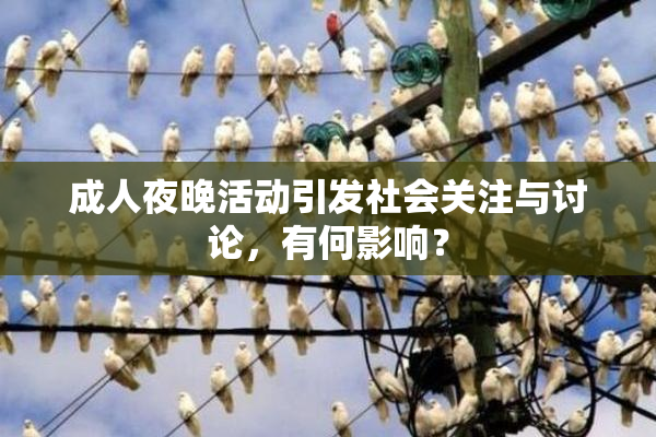 成人夜晚活动引发社会关注与讨论，有何影响？