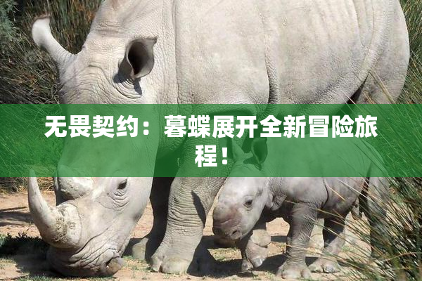无畏契约：暮蝶展开全新冒险旅程！