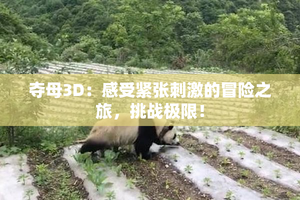 夺母3D：感受紧张刺激的冒险之旅，挑战极限！