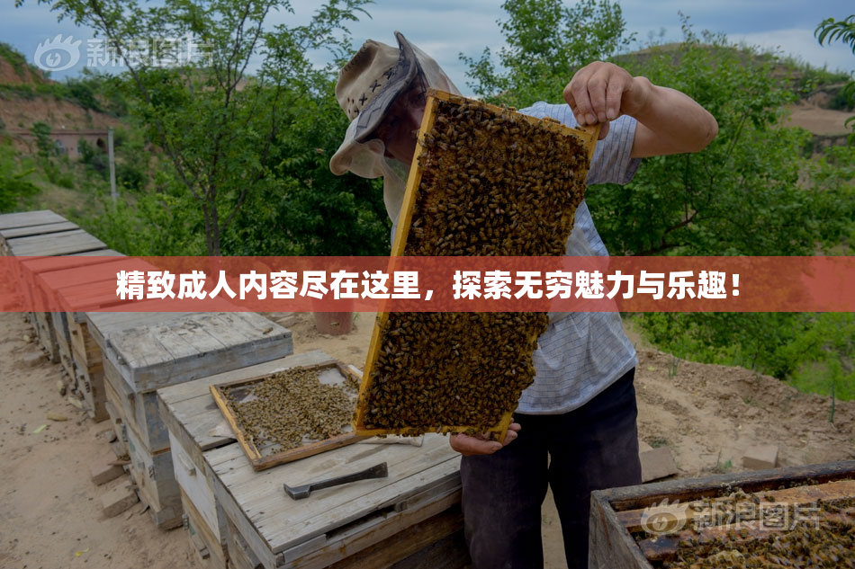 精致成人内容尽在这里，探索无穷魅力与乐趣！