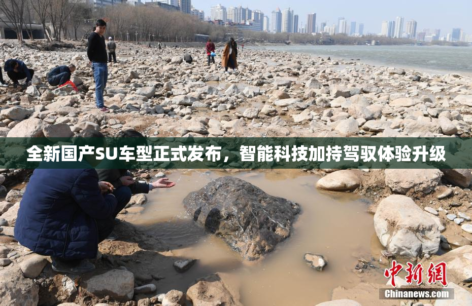 全新国产SU车型正式发布，智能科技加持驾驭体验升级