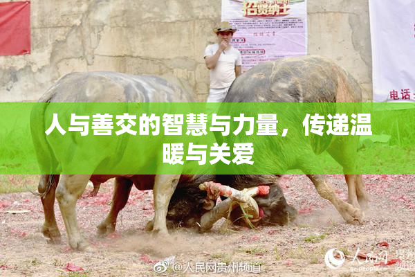 人与善交的智慧与力量，传递温暖与关爱