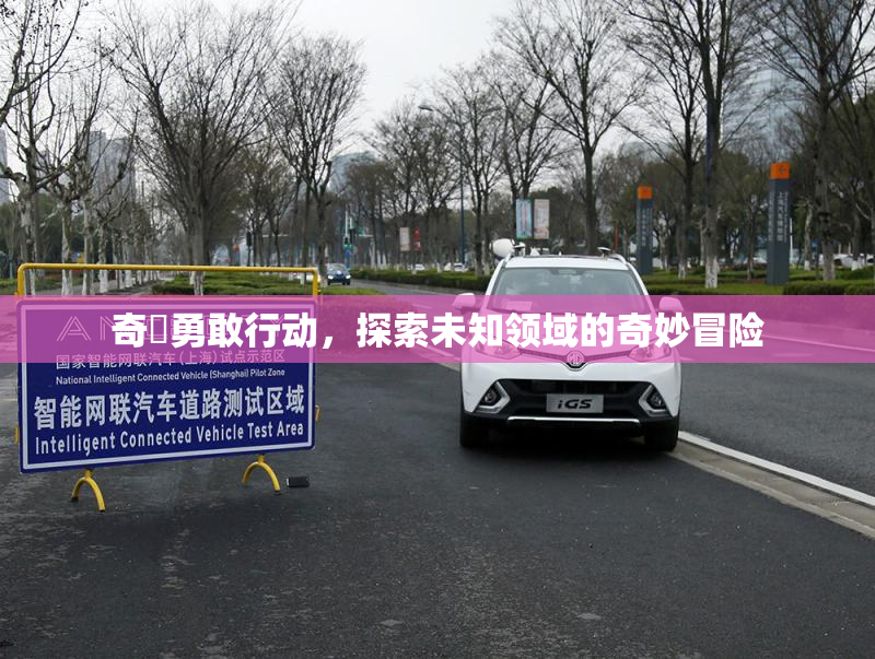 奇犽勇敢行动，探索未知领域的奇妙冒险