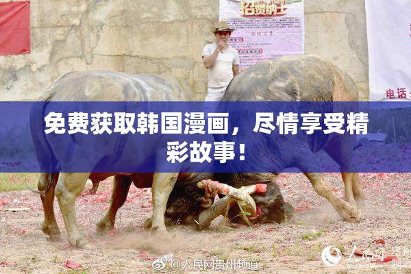 免费获取韩国漫画，尽情享受精彩故事！
