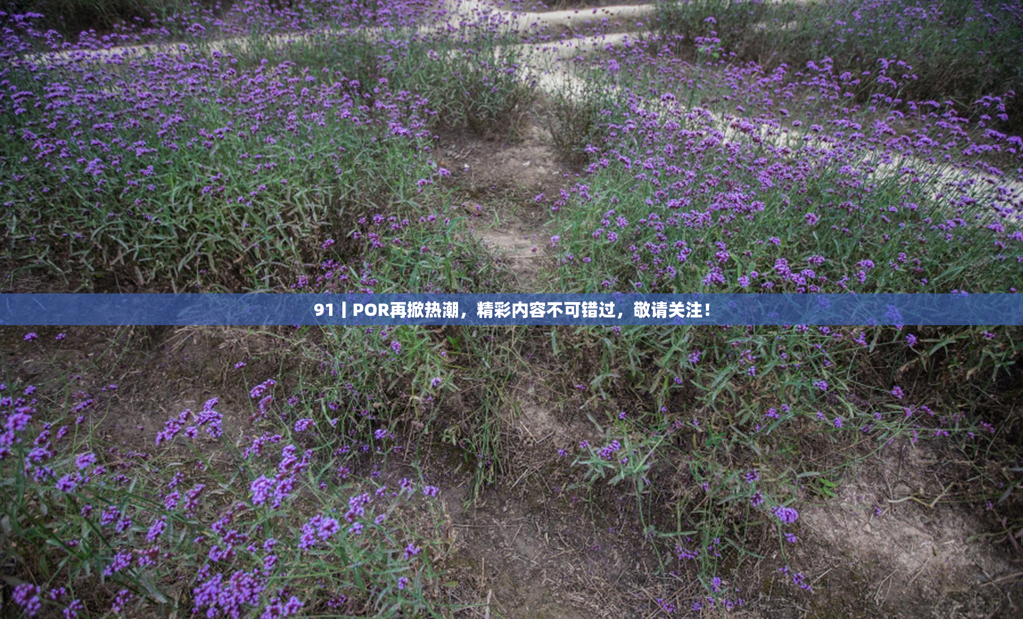 91丨POR再掀热潮，精彩内容不可错过，敬请关注！