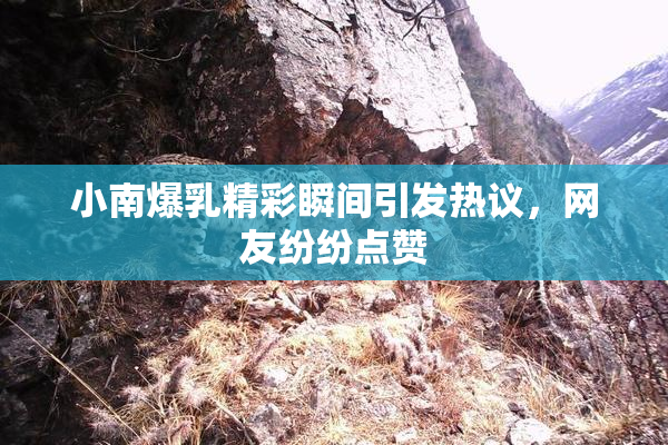 小南爆乳精彩瞬间引发热议，网友纷纷点赞