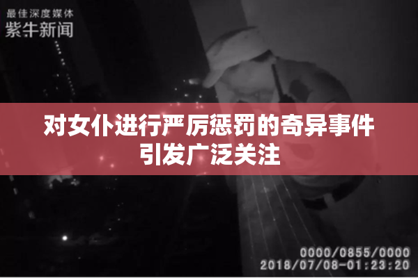 对女仆进行严厉惩罚的奇异事件引发广泛关注