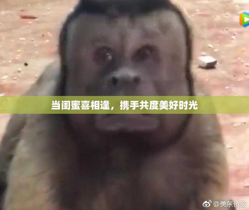 当闺蜜喜相逢，携手共度美好时光