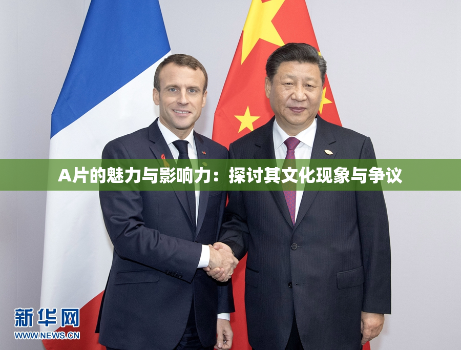 A片的魅力与影响力：探讨其文化现象与争议