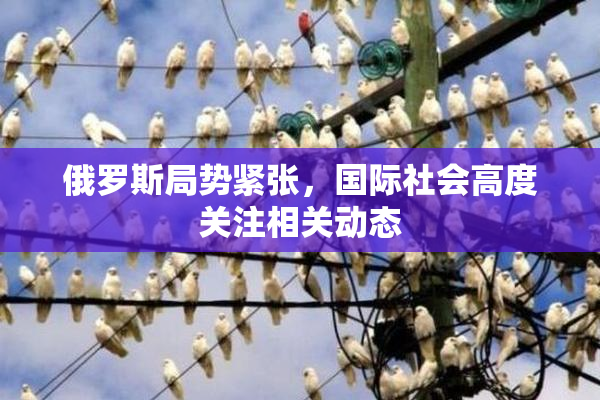 俄罗斯局势紧张，国际社会高度关注相关动态