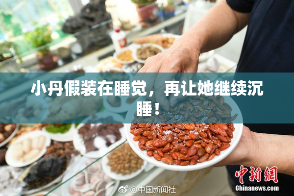 小丹假装在睡觉，再让她继续沉睡！