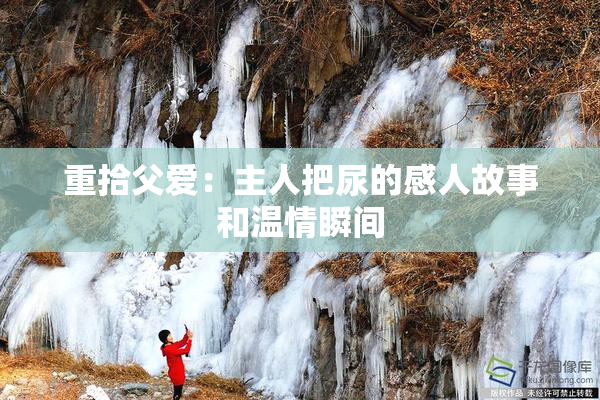 重拾父爱：主人把尿的感人故事和温情瞬间