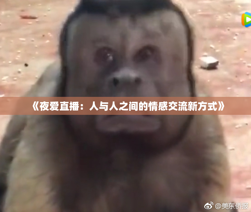 《夜爱直播：人与人之间的情感交流新方式》