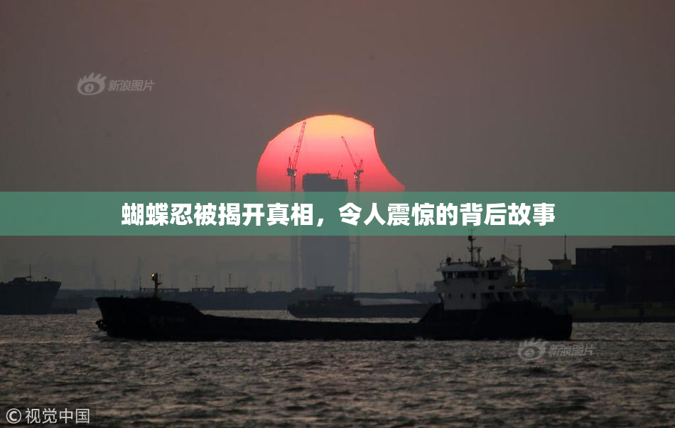 蝴蝶忍被揭开真相，令人震惊的背后故事