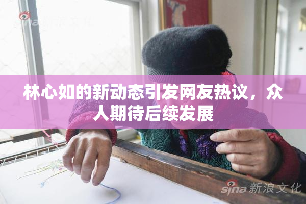 林心如的新动态引发网友热议，众人期待后续发展
