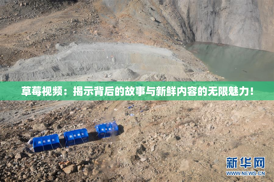 草莓视频：揭示背后的故事与新鲜内容的无限魅力！