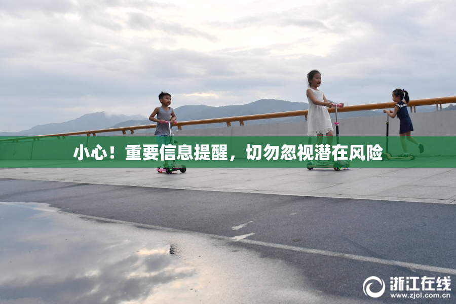 小心！重要信息提醒，切勿忽视潜在风险