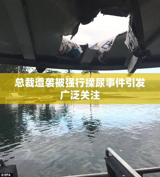总裁遭袭被强行揉尿事件引发广泛关注