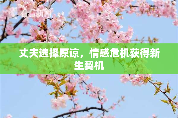 丈夫选择原谅，情感危机获得新生契机