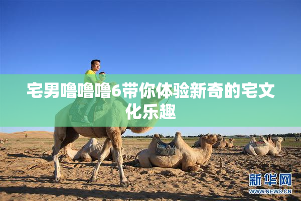 宅男噜噜噜6带你体验新奇的宅文化乐趣