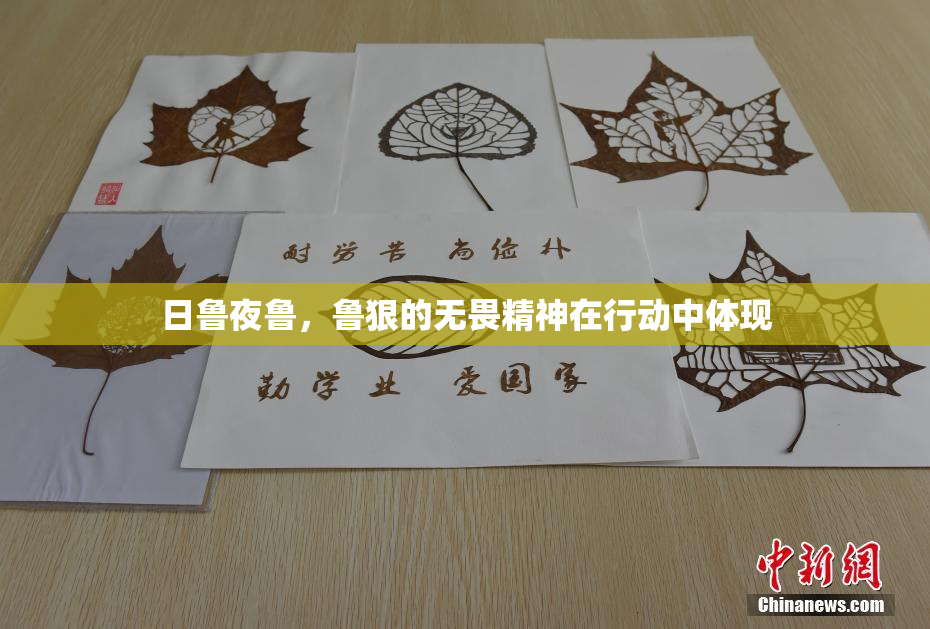 日鲁夜鲁，鲁狠的无畏精神在行动中体现