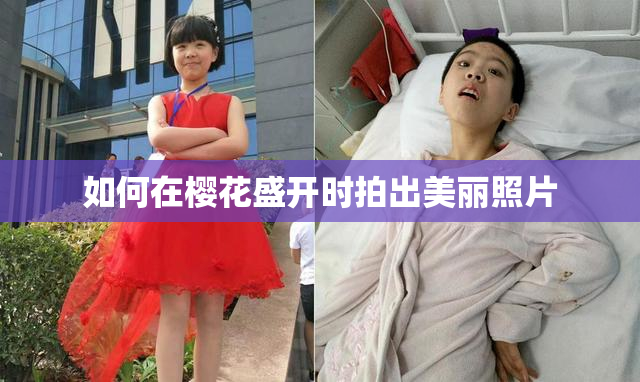 如何在樱花盛开时拍出美丽照片