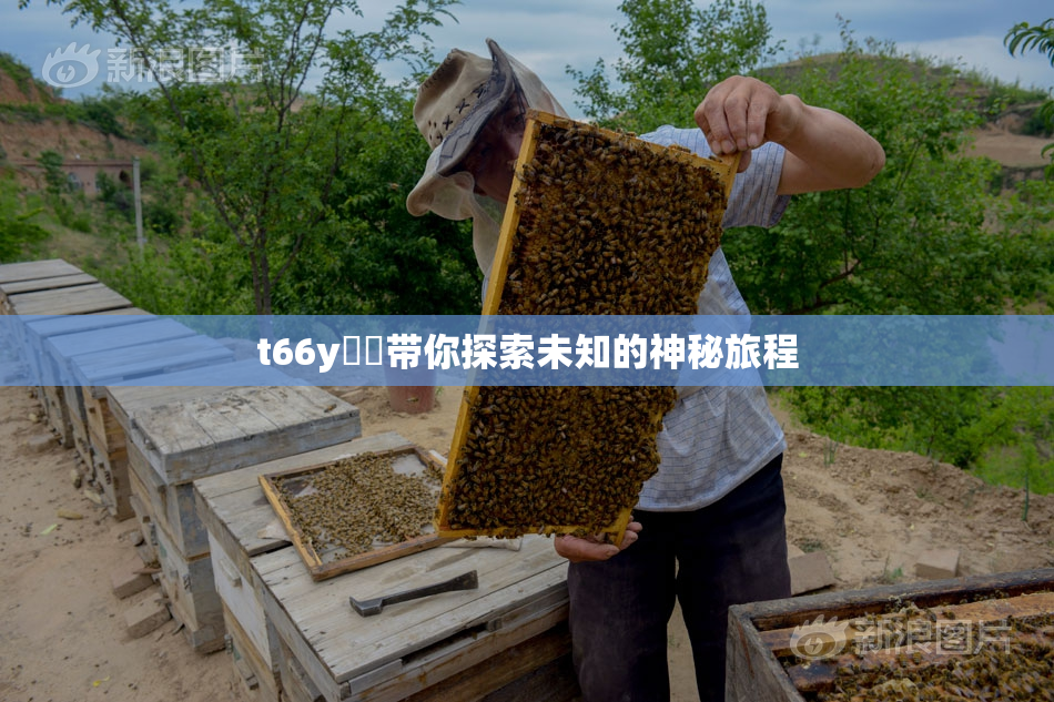 t66y逹葢带你探索未知的神秘旅程