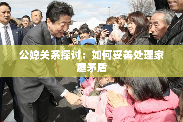 公媳关系探讨：如何妥善处理家庭矛盾