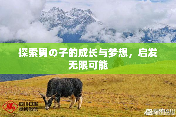 探索男の子的成长与梦想，启发无限可能