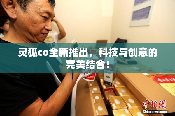 灵狐co全新推出，科技与创意的完美结合！