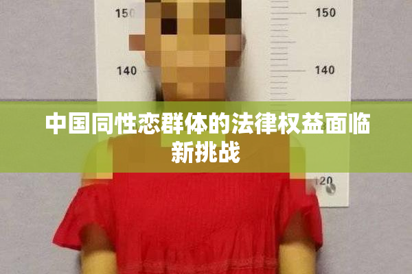 中国同性恋群体的法律权益面临新挑战