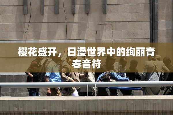 樱花盛开，日漫世界中的绚丽青春音符